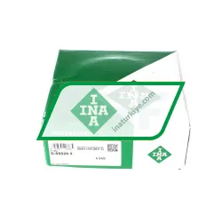 INA SL06020-E rulman resim 2