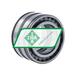 INA SL045009 rulman resim 2