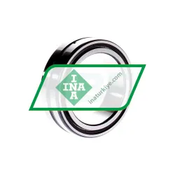 INA SL184912-A rulman resim 2