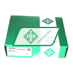 INA SL024924-A rulman resim 4