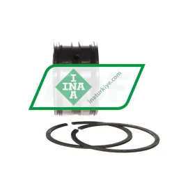 INA SL045007-PP-2NR rulman resim 2