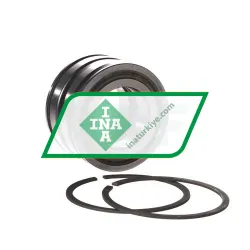 INA SL045007-PP-2NR rulman resim 3