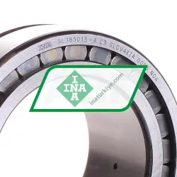 INA SL185013-A-C3 rulman resim 2
