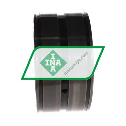 INA SL04100-D-PP rulman resim 2