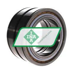 INA SL04100-D-PP rulman resim 3