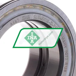 INA SL045016-D-PP rulman resim 2