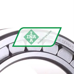 INA SL185022-A rulman resim 2