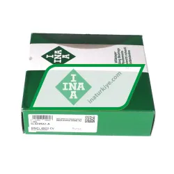 INA SL024922-A rulman resim 4