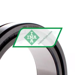 INA SL014928-A-C3 rulman resim 2