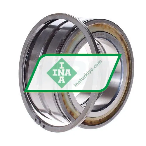 INA SL045015-PP-2NR