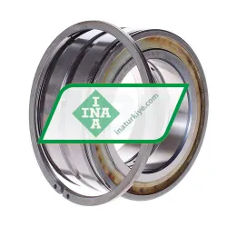 INA SL045015-PP-2NR
