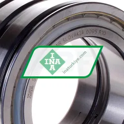 INA SL045014-PP-2NR rulman resim 2