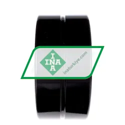 INA SL185028-A-BR-C3 rulman resim 2