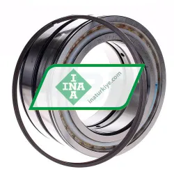 INA SL045022-D-PP-2WR