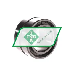 INA SL185009-A-C3 rulman resim 2