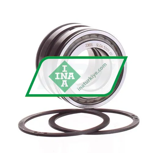 INA SL045005-PP-2NR