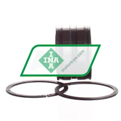 INA SL045005-PP-2NR rulman resim 2