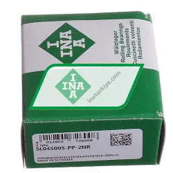 INA SL045005-PP-2NR rulman resim 3