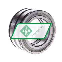 INA SL045010-PP