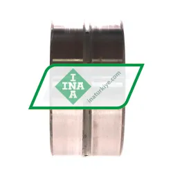 INA SL18-5014A C3 rulman resim 3