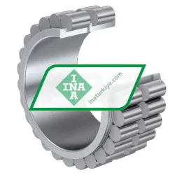 INA RSL185010-A-2S rulman resim 2