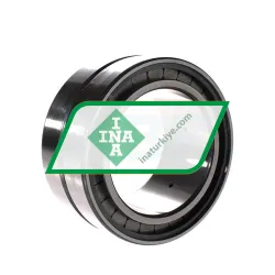 INA SL185020-A-C3 rulman resim 3