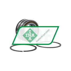 INA SL045010PP 2NR