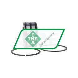 INA SL045010PP 2NR rulman resim 3