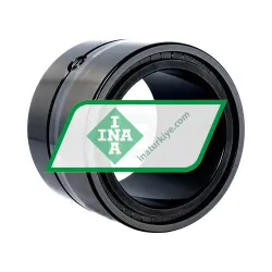 INA SL13920-A rulman resim 2