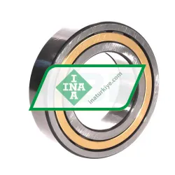INA SL11918A rulman resim 2