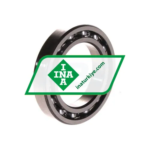 INA 61907
