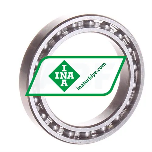INA 61806