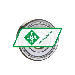 INA 6302ZZ C3