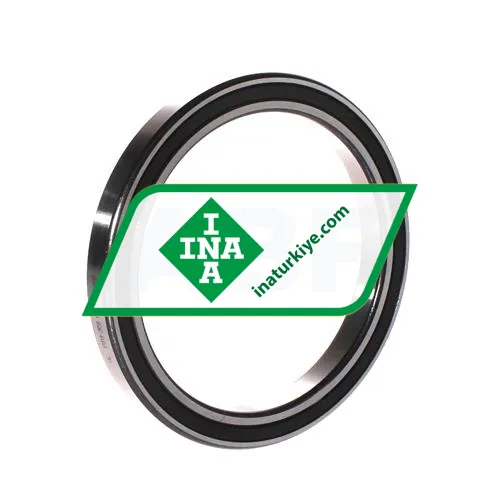 INA 61819-2RSR-Y