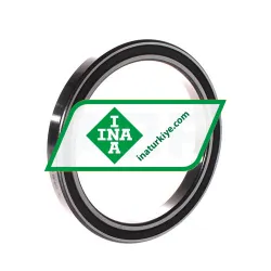 INA 61819-2RSR-Y