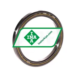 INA CSCB025-HLE