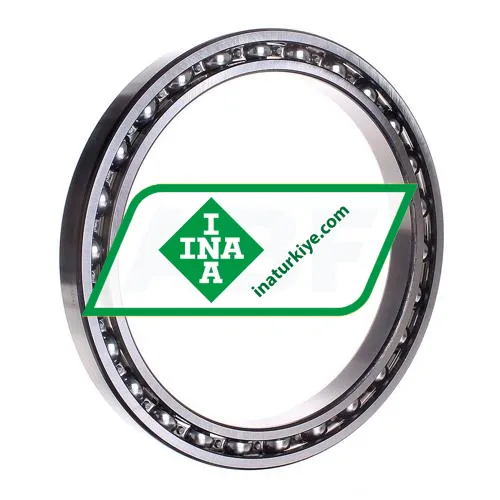 INA 61832-HLU