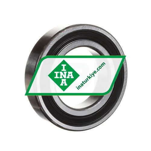 INA 6007 2RS