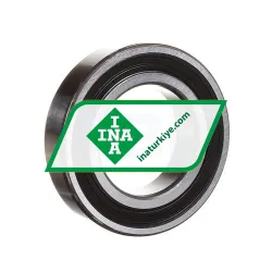 INA 6007 2RS