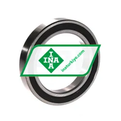 INA 61911-2RSR