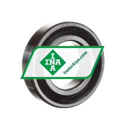 INA 6006 2RS