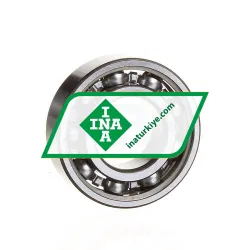INA 6004