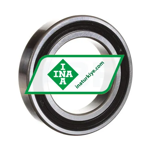 INA 6010 2RS