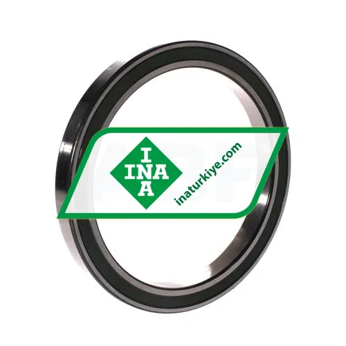 INA 61828-2RZ-HLU