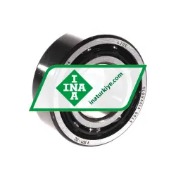 INA 4205