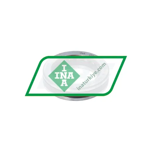 INA 81107