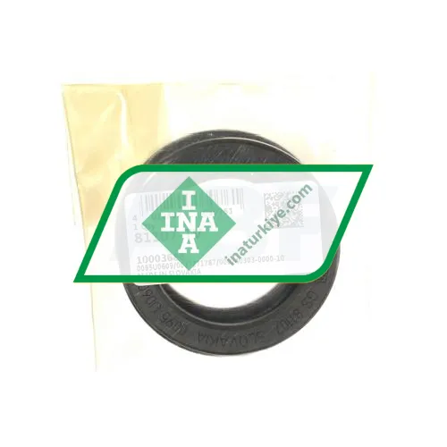 INA 81107-TV