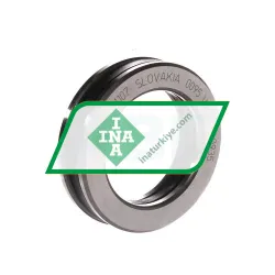 INA 81107-TV rulman resim 2