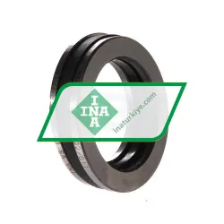 INA 81107TN