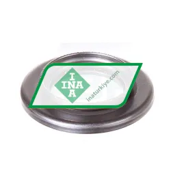 INA AXW20
